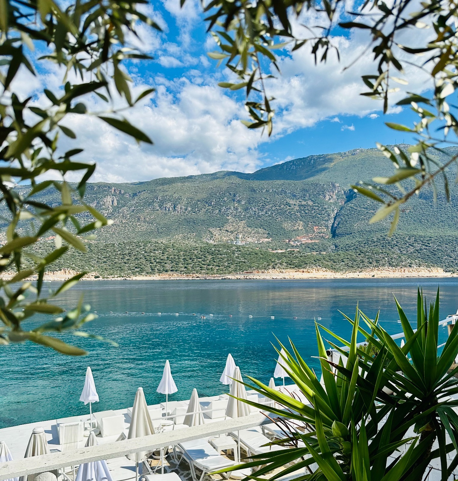 Club Çapa